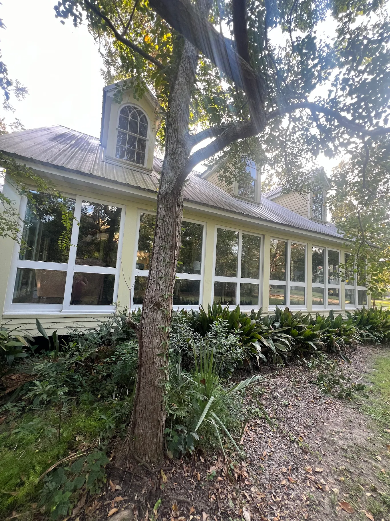 Residential & Commercial Window Cleaning