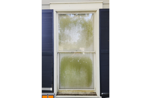 Residential Window Washing in Covington - Before